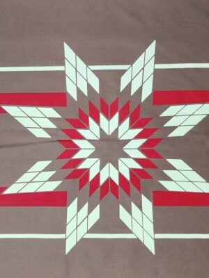 Paliacate Estrella Lakota Cafe