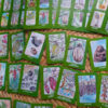 LOTERIA DEL CACAO