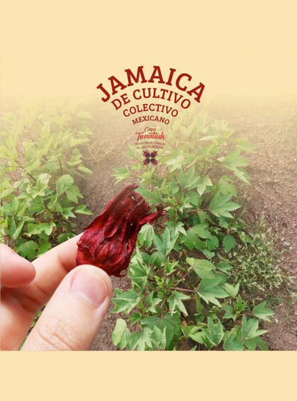 Mermelada de Jamaica