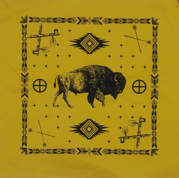 Paliacate  Tatanka Bufalo Canupa Pipa Flecha Lakota Amarillo