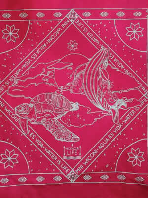 Paliacate Water is Life Agua es Vida Ballena Rosa