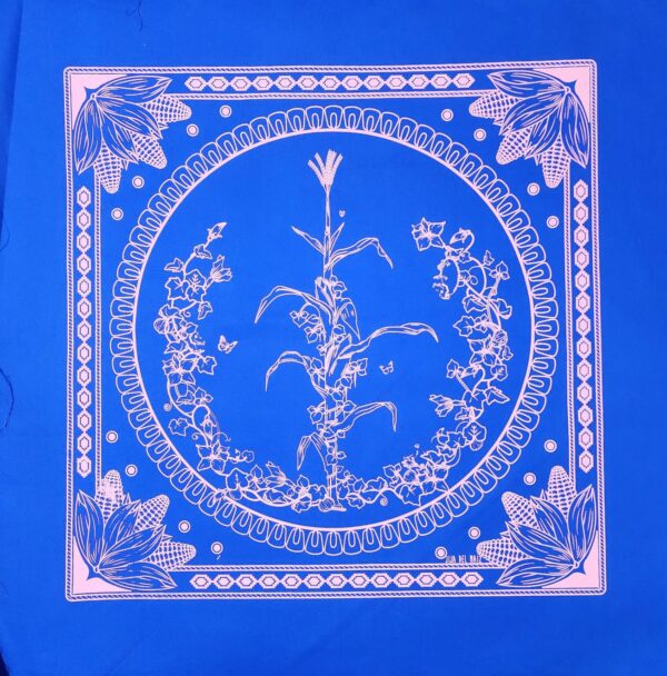 Paliacate Maiz Azul Marino