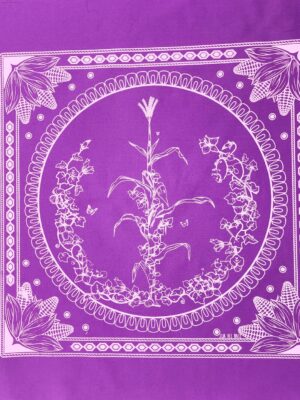 Paliacate Maiz Morado