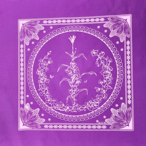 Paliacate Maiz Morado