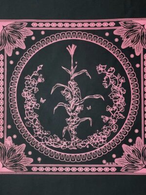 Paliacate Maiz Negro