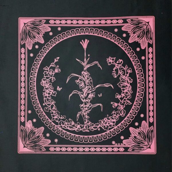 Paliacate Maiz Negro