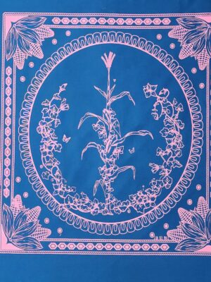 Paliacate Maiz Azul Petroleo