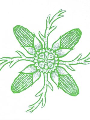 Paliacate Peyote Cuernos Blanco
