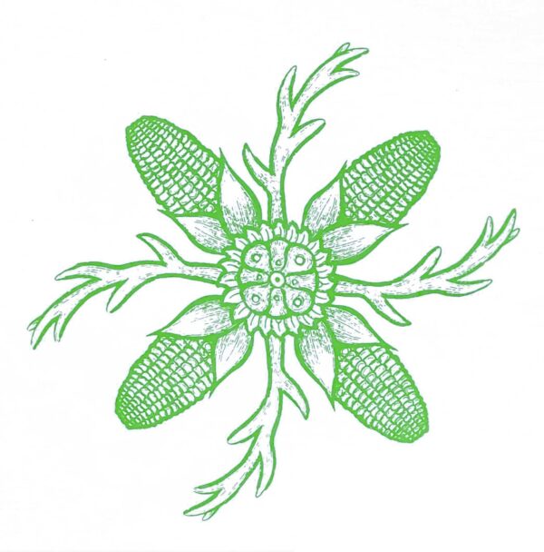 Paliacate Peyote Cuernos Blanco