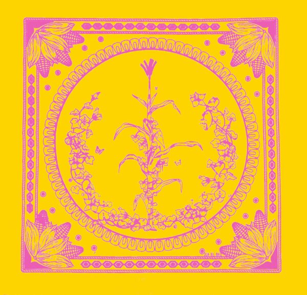 maiz-amarillo Paliacate Maiz Amarillo