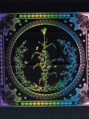Paliacate Maiz Negro Colores
