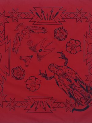 Paliacate Tonantzin Aguila Pajaro de Agua Hikuri Bufalo Rojo
